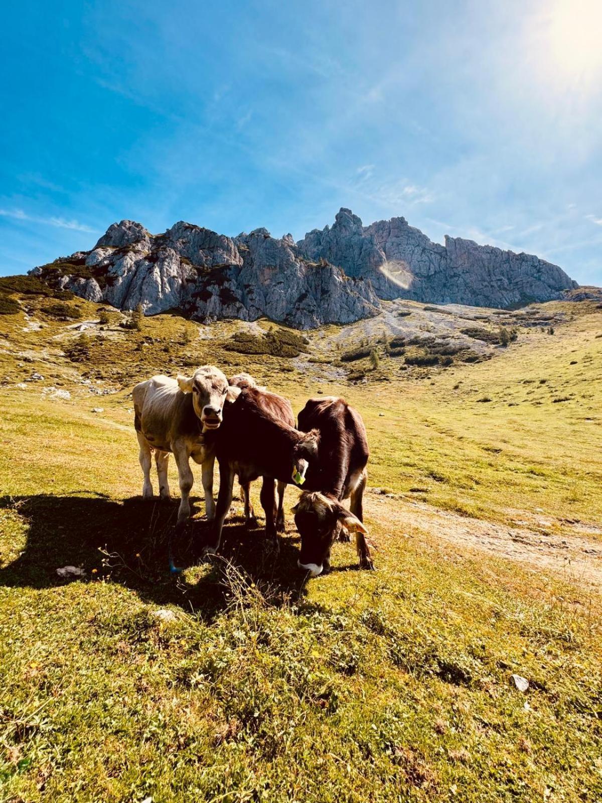 Apartmán Stubihuettn Sonnenalpe Nassfeld Exteriér fotografie