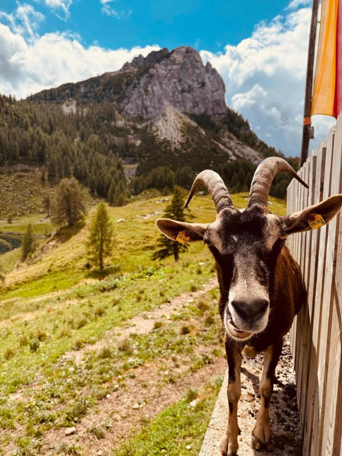 Apartmán Stubihuettn Sonnenalpe Nassfeld Exteriér fotografie